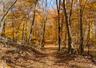Miles of established trails wind through the property.