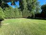 Leveled yard with privacy tree