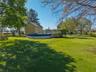 Great Lawn