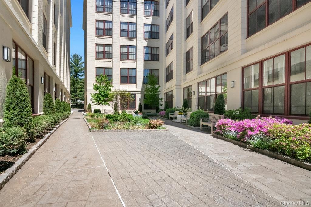 Lovely garden area