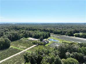 Chamard Vineyards is among the most beautiful traditional of New England wineries.