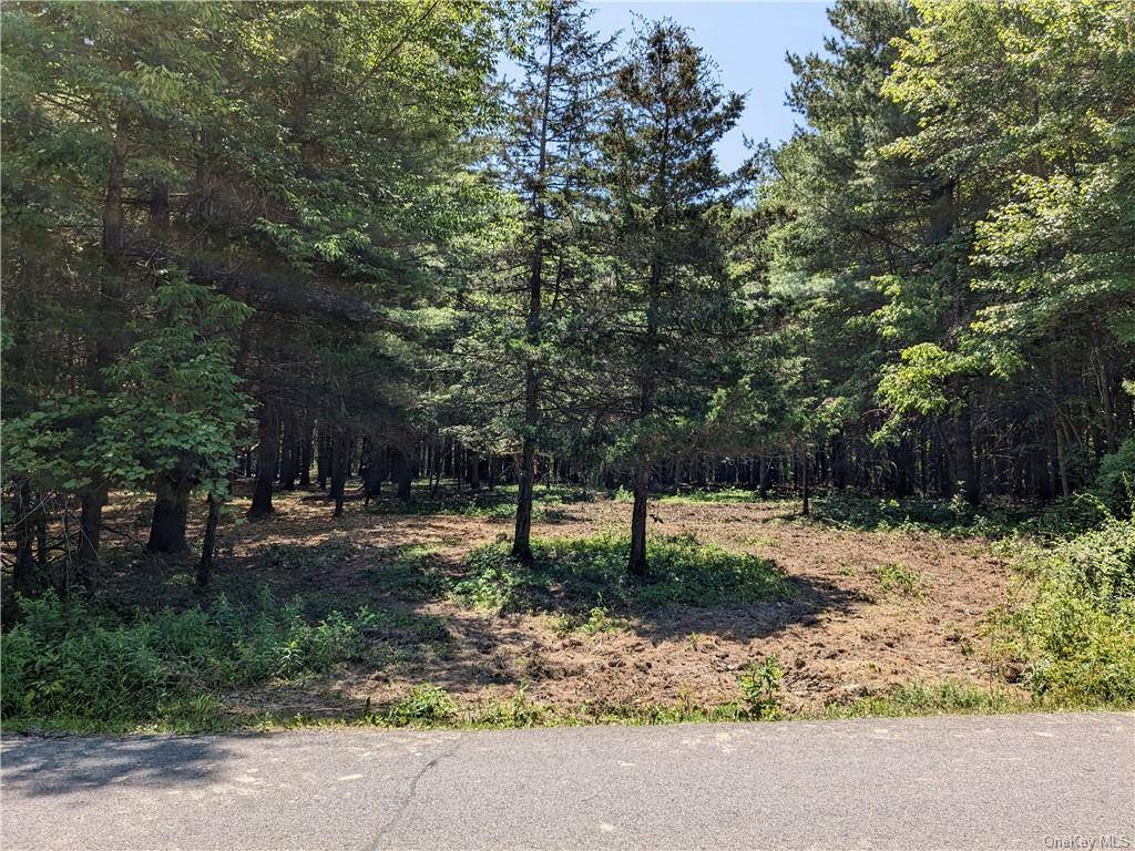 Oversized parcel to build a dream home in the Sleepy Hollow Lake private community.