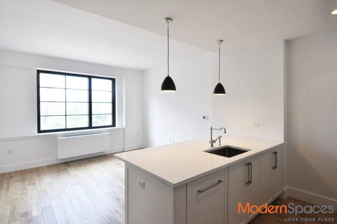 Available immediately this beautiful brand new 1BR 1BA apt at luxurious Harrison Condo in LIC.