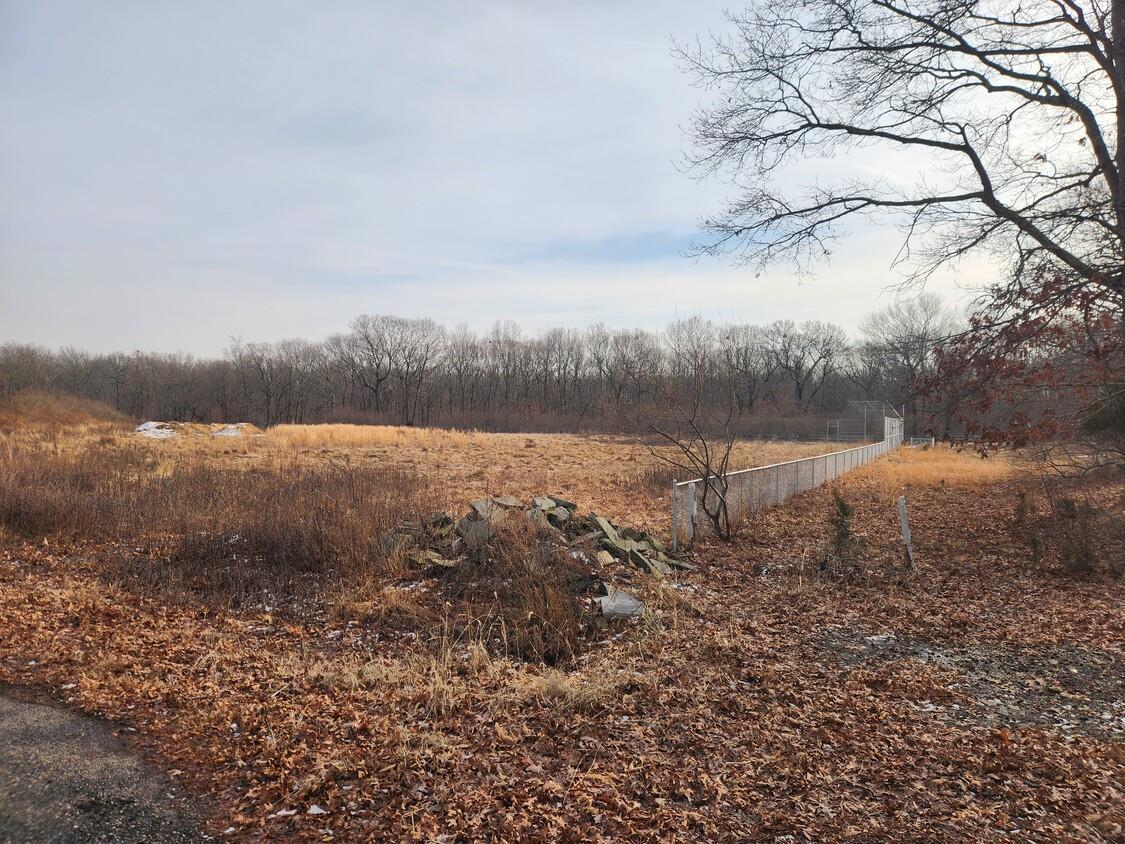 View of local wilderness featuring a rural view