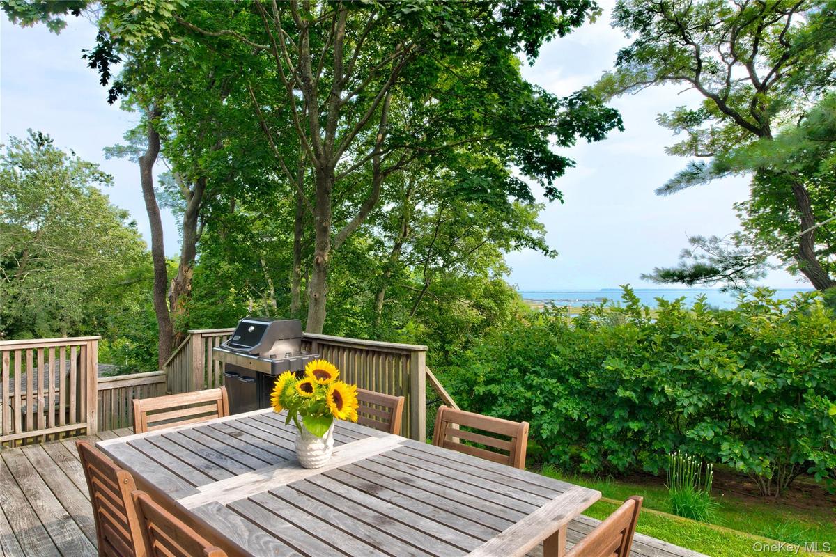 deck/grilling area