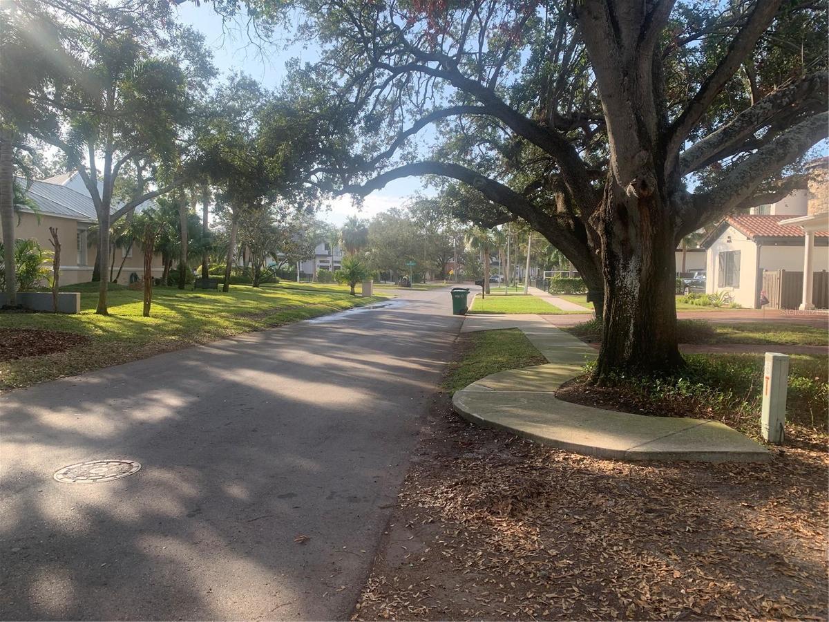 Tree lined streets