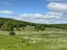 View of woods with a view of rural / pastoral area