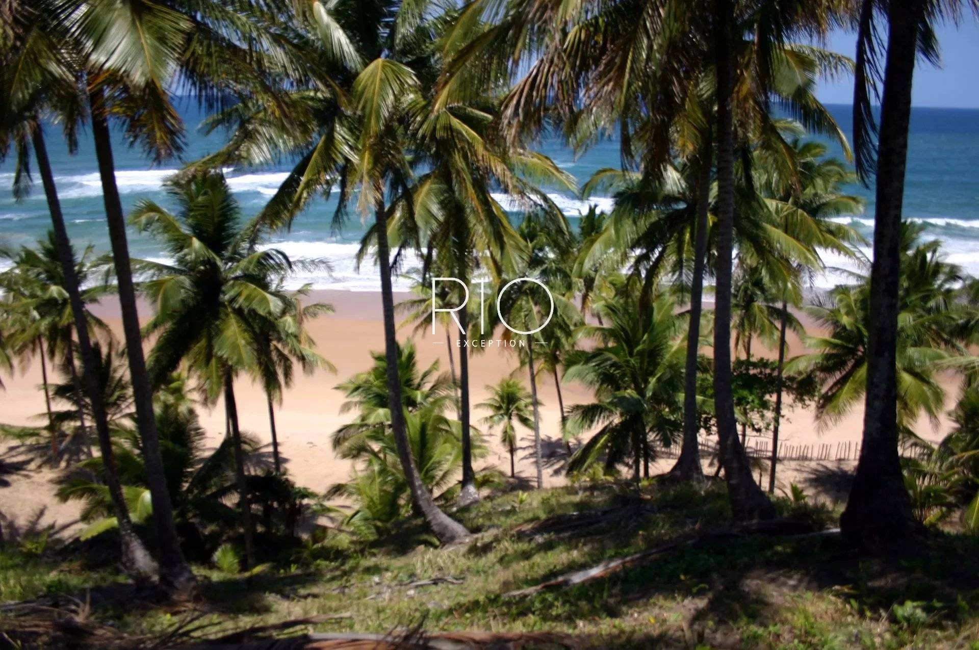 MARAÚ - BAHIA : magnificent building land of almost 7ha on the seafront !!!