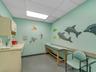 Examination Room 7