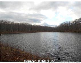 LITCHFIELD HILLS SECLUDED 15 ACRE LAKE fed by the pure headwaters of the Bantam River and natural springs.