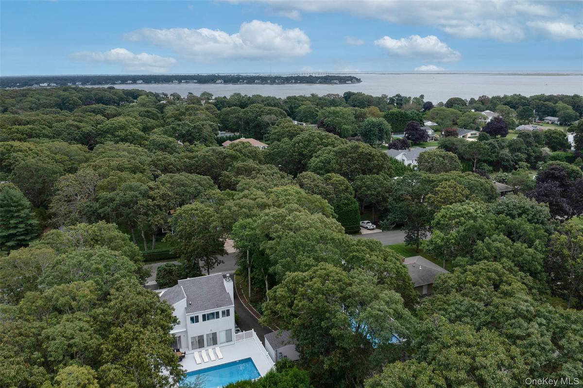 Aerial view featuring a forest view and a water view