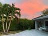 17 ft Clusia hedge and mature palms.