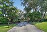 Scenic Paved Driveway with Towering Mature Live Oaks