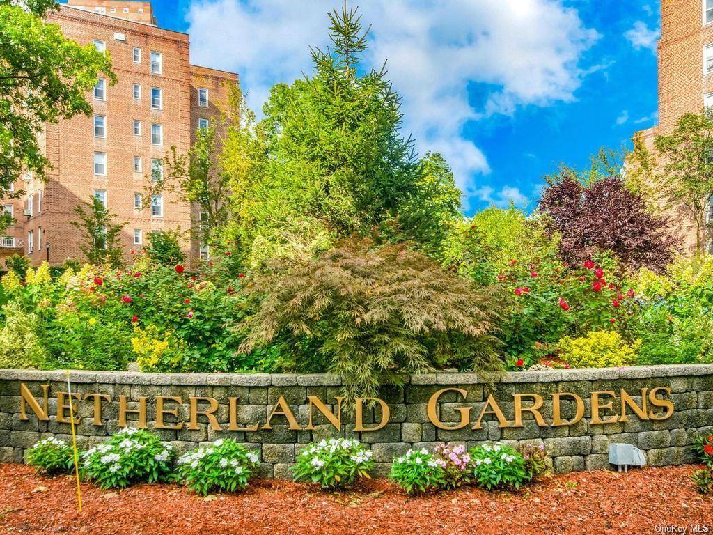 Beautiful fully renovated, 1 bedroom unit in Netherland Gardens for an amazing price !