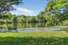 Water view with a heavily wooded area
