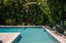 Mature tropical landscape all around