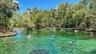 Wekiva Springs State Park – Camping, kayaking, and more at one of Florida’s natural parks! Just minutes from our community.