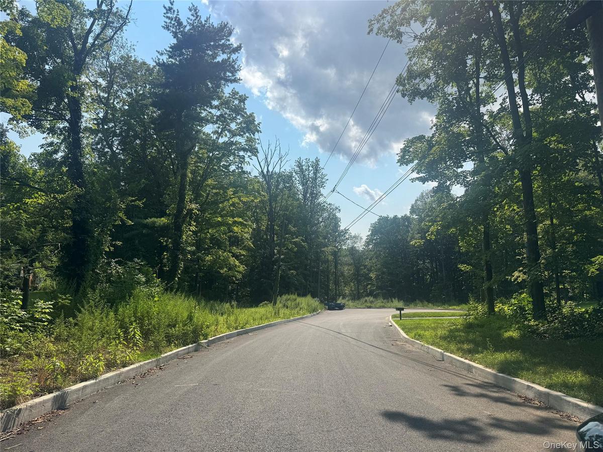 Welcome to 12 East Lane, Armonk. An exceptional 1.6-acre homesite offering Board of Health approval for a 5-bedroom residence and an approved pool sit