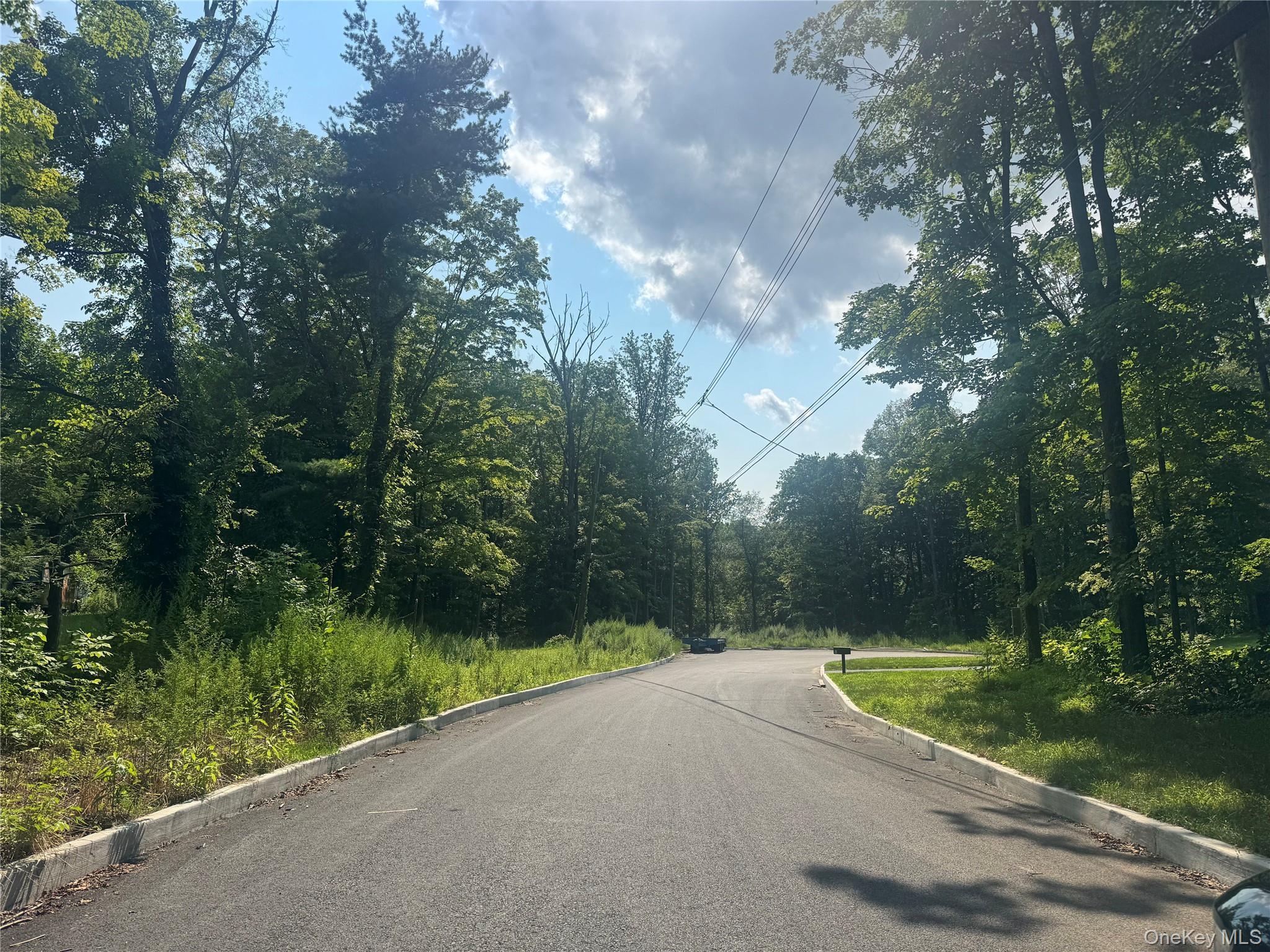 Welcome to 12 East Lane, Armonk. An exceptional 1.6-acre homesite offering Board of Health approval for a 5-bedroom residence and an approved pool sit
