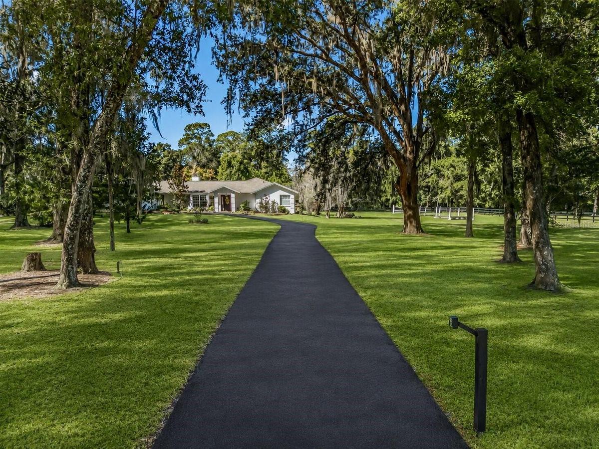Long driveway framed by majestic oak trees and beautifully maintained landscaping.