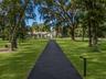 Long driveway framed by majestic oak trees and beautifully maintained landscaping.