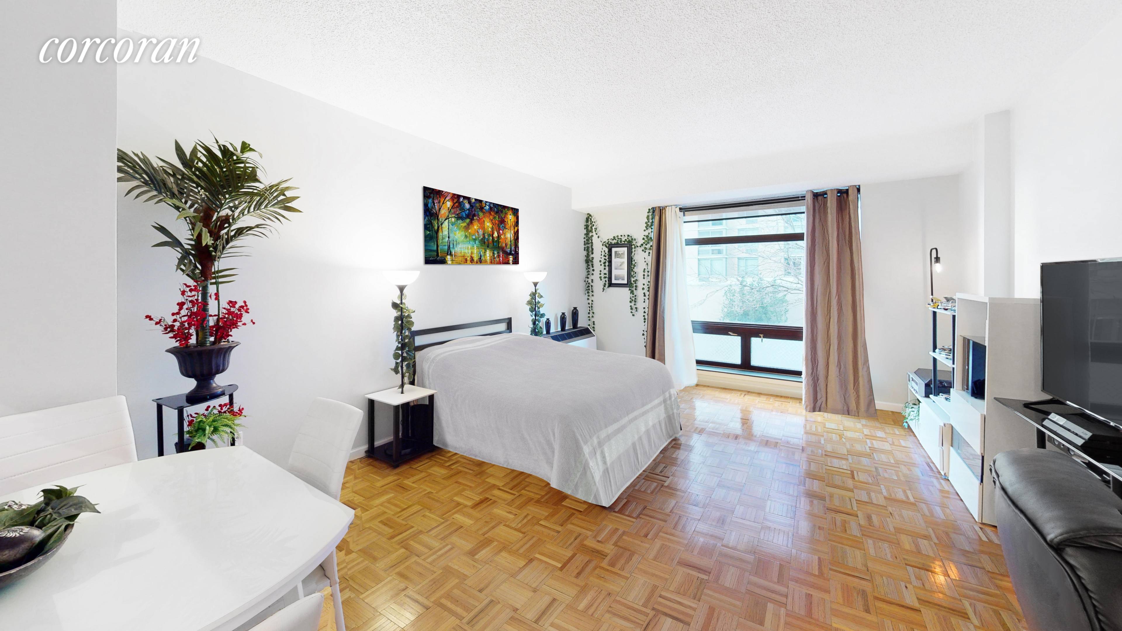 Extra low maintenance fees and a partial NYC skyline view make this studio a STEAL !
