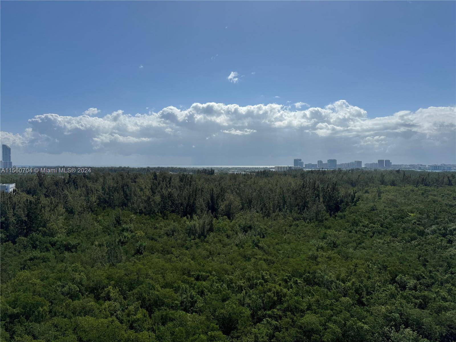 AMAZING LARGE 2 BED 2 BATH UNIT WITH INCREDIBLE VIEWS OF THE OLETA PARK.