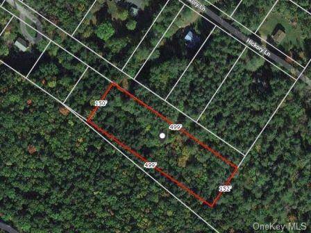 Great 1. 5 acre building lot in the heart of Narrowsburg !