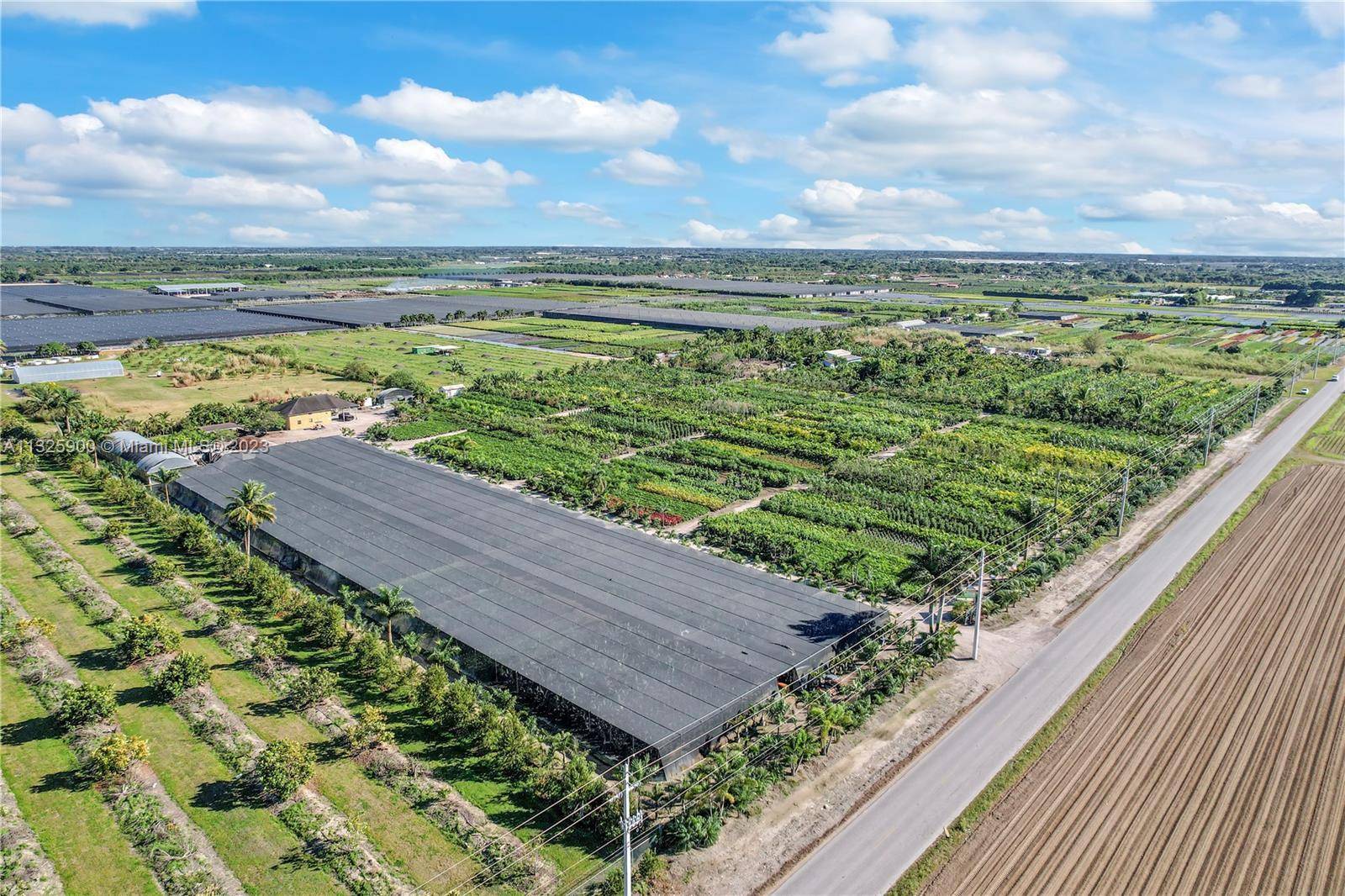 15 ACRE TURN KEY LUSH FIELD GROWN AND LARGE CONTAINERS 25 GAL PLUS PALM TREE PLANTATION WITH OVER 2 MILLION IN INVENTORY AND OVER 1 MILLION IN SALES.