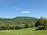 View of mountain backdrop featuring a heavily wooded area