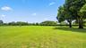 Grass field
