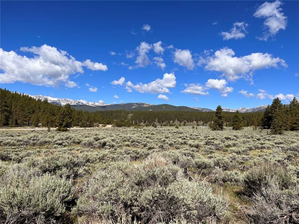 Build your mountain dream home with jaw dropping mountain views of Mt Massive.