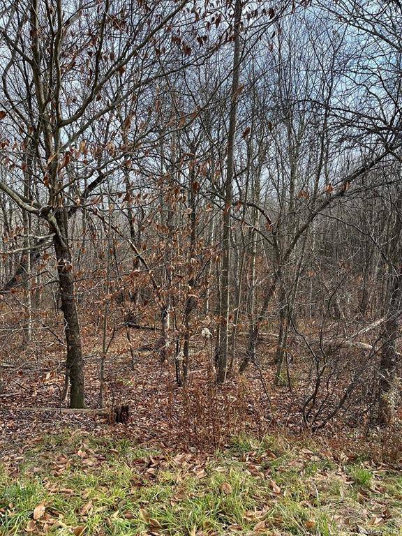 Nice quiet buildable lot with babbling brook.