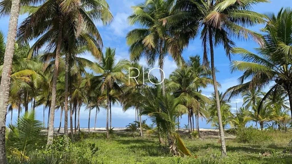 UNA, state of BAHIA : magnificent property of almost 60ha with 1.7km of beach !!!