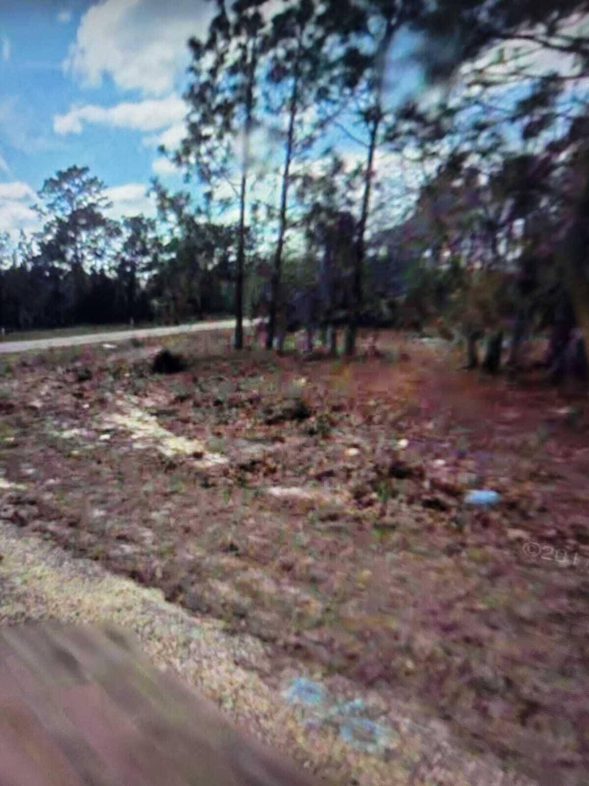 Build your dream home on this nice wooded lot in the community of Citrus Springs.