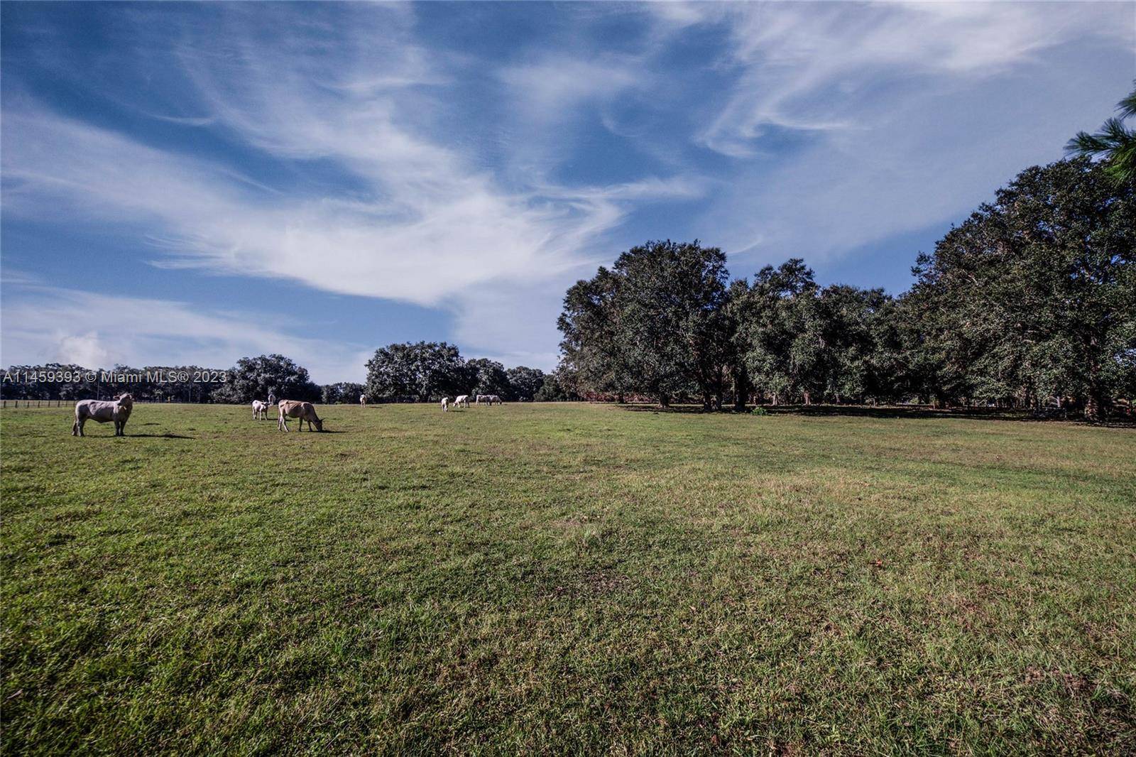Fenced 33. 12 acres with power and water well in LAKE CITY.