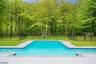 Backyard View