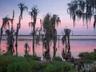 Lake Nona