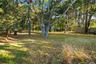 View of yard with view of wooded area