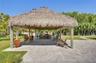 Tiki Hut