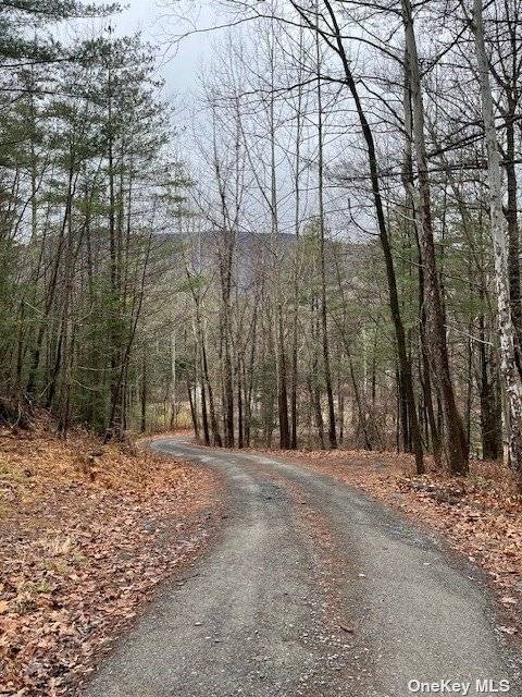 Location Location ! Build your dream home tucked away in the woods with complete privacy.