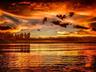 Sunset View