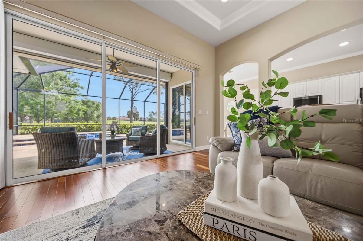 Pool view from living room