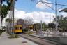 Harbour Island Trolley's