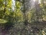 View from Rear (South side)