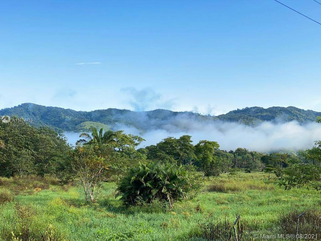 Great Opportunity to own Beautiful Land with your own Swiss Style Cabin and 178 acres of land with lots of potential in the Best Rainforest Area of Panama with the ...