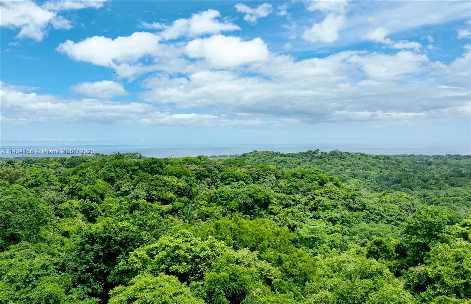 'PRE CONSTRUCTION PRICING'' 168 Acres 58 Hectares located in San Juanillo, Costa Rica in a pristine natural mountain top setting complimented by the profits reaped from the harvest of a ...