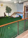 Doggy day care area