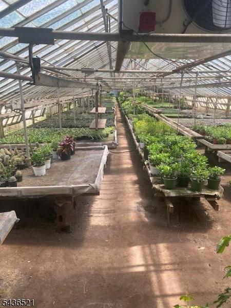 Greenhouse 1