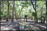 Hunting Stand